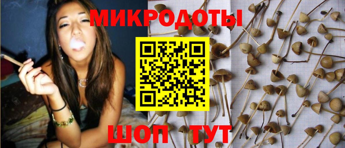 Галлюциногенные грибы мухоморы  Вход с VPN  Лосино-Петровский 