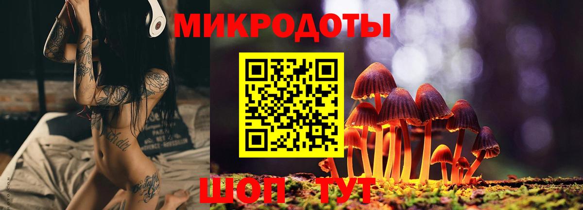 Псилоцибиновые грибы мицелий Лосино-Петровский